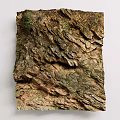 Natural Rock Texture Wall with Rough Surface Brown Green Tones and Organic Decorative Patterns 3d model