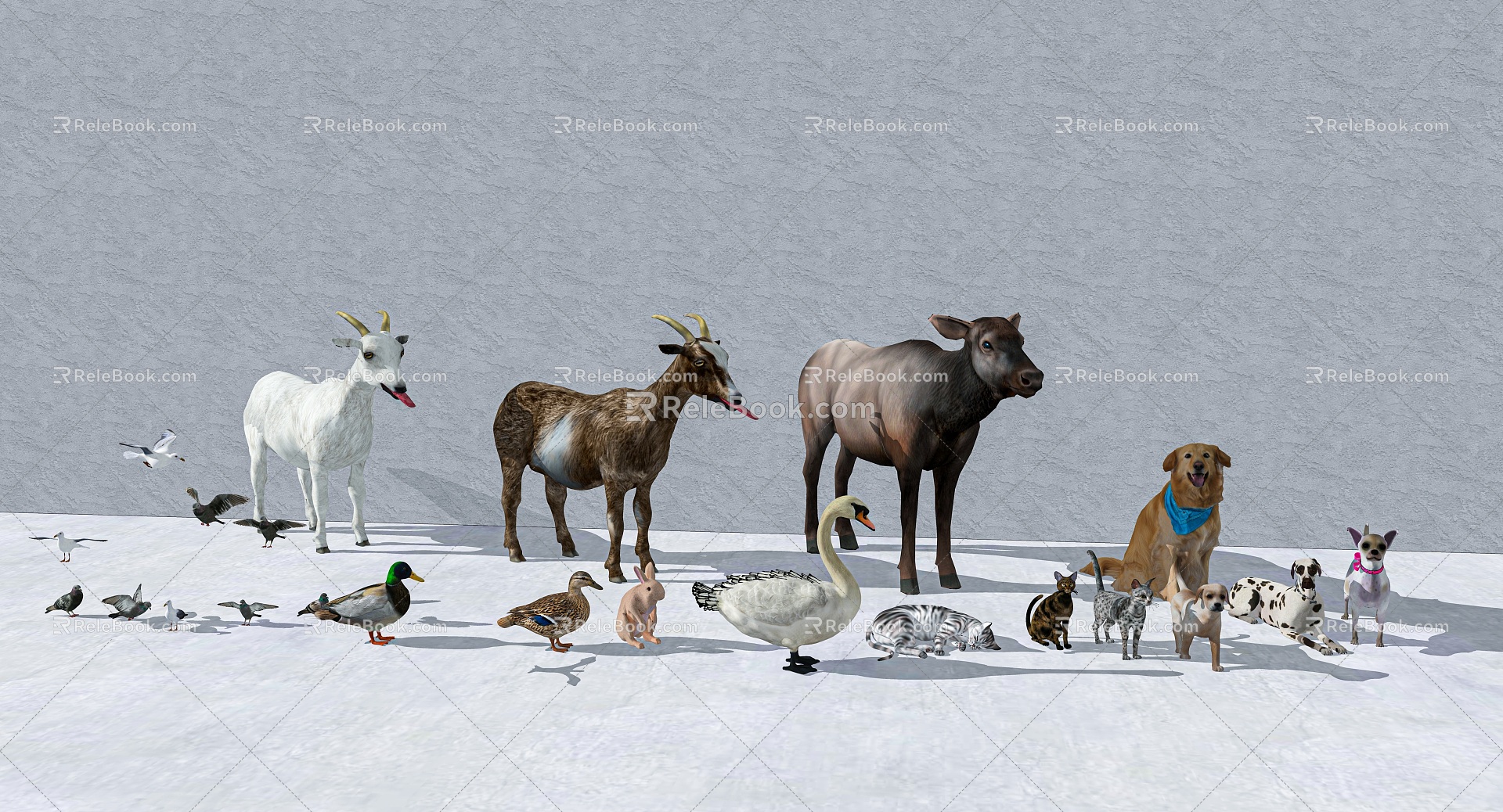 Poultry Animals Cattle Sheep Dog Cat Duck Goose Pigeon 3d model