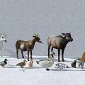 Reptiles In Snowy Landscape With Various Wildlife Animals Like Deer And Ducks