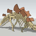 Detailed Stegosaurus Dinosaur Skeleton Model With Back Plates And Bone Structure 3d model