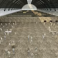 Numerous Terracotta Warriors Standing Arranged In Indoor Exhibition Hall Ground