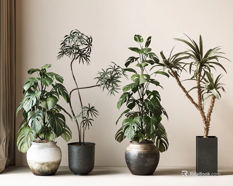 Indoor Potted Plants with Various Leaf Shapes and Different Ceramic Pots for Stylish Home Decor 3d model 