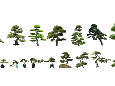 Various Shaped Arbor Bonsai Trees With Different Styles And Decorative Pots 3d model