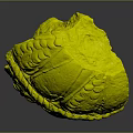 Orange Textured Turtle Shell Sculpture with Intricate Patterns On Dark Background