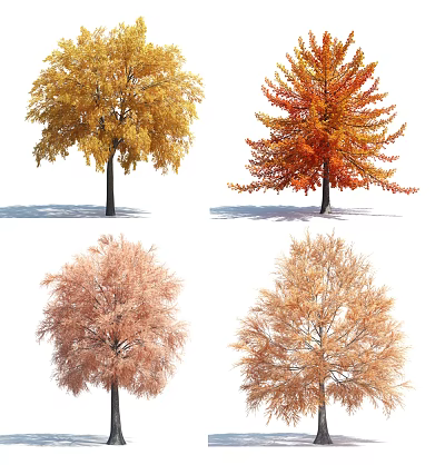 Colorful Autumn Trees With Vibrant Yellow Red Orange Brown Foliage 3d model