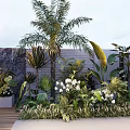 Tropical Garden Landscape With Palm Tree Various Plants White Flowers Marble Wall And Wooden Deck