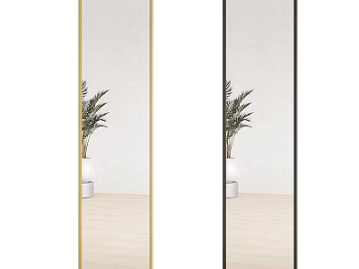 Modern Full Length Mirrors With Gold And Black Frames And Potted Palm Plant 3d model