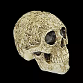 Man Displaying Intricate Patterned Decorative Skull Against Black Background 3d model