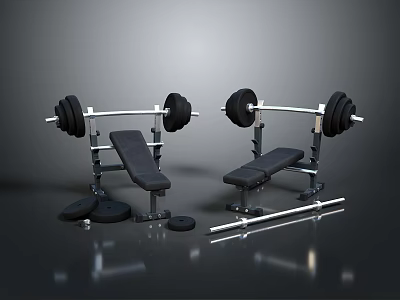 Essential Home Fitness Equipment Set With Weight Benches Barbells Racks And Plates 3d model