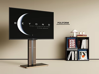 Modern Television with Beyond Display and Poliform Brand Metal Stand and Bookshelf with Decorations 3d model