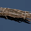 Bundled Dry Plant Twigs Tied Together With Natural Rope On Blue Background