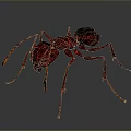 Purple Ant 3D Rendered Detailed Insect With Long Legs And Realistic Body