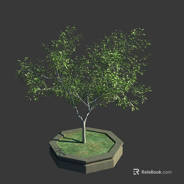 Ornamental Arbor Tree Planted in Hexagonal Stone Planter with Green Grass on Dark Background 3d model 