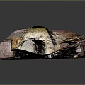 Natural Outdoor Scene With Irregular Colorful Rock Formation And Earthy Textures
