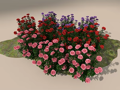 Vibrant Red Purple Pink Flowers With Dense Growth On Green Lush Garden Base 3d model