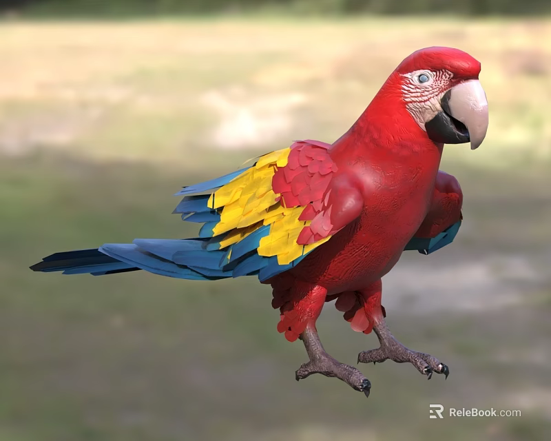 Vibrant Red Parrot With Yellow And Blue Wings Standing On Green Grass 3d model 