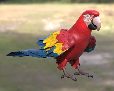 multicolored macaw crimson macaw red yellow macaw animal 3d model