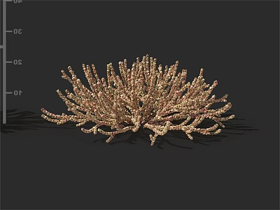 Ornamental Golden Shrub 3D Model Featuring Dense Branches and Bushy Structure 3d model