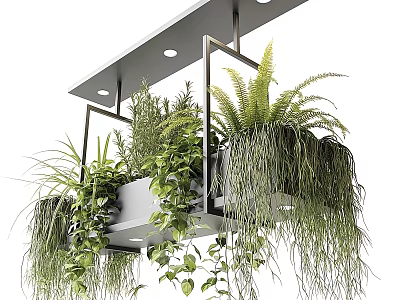Modern Indoor Hanging Planter with Metal Frame Various Green Plants Ferns Trailing Vines 3d model