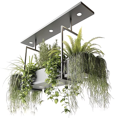 Modern Indoor Hanging Planter with Metal Frame Various Green Plants Ferns Trailing Vines 3d model