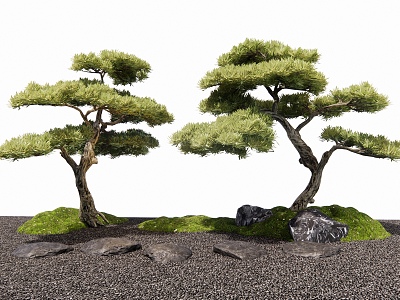 New Chinese Style Luohan Pine Black Pine Landscape Tree Arbor Stone Tingbu Moss 3d model