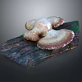 Natural Mushroom Plant Growth On Textured Wooden Log With Brown White Caps And Green Moss