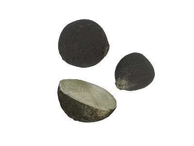 Fresh Ripe Avocado Whole And Halved With Creamy Green Flesh 3d model