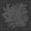 Weeping Willow Trees with Lush Green Drooping Branches and Silhouette Figures in Outdoor Scene