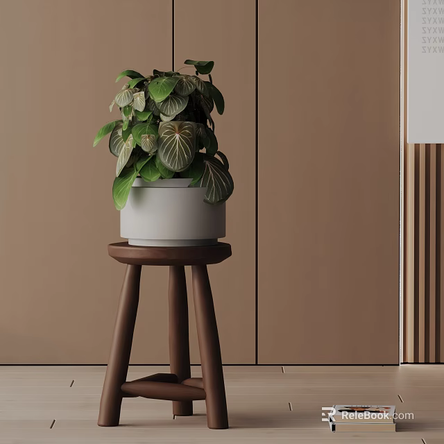 Potted Plant With Variegated Leaves In White Pot On Brown Wooden Stool Modern Interior 3d model 