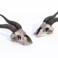 Ornamental Decor Set Featuring Long Horned Animal Skulls for Home