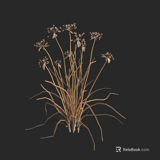 Elegant White Blooms With Tall Golden Stems In Decorative Vase 3d model 