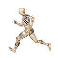Ceramic Robot Skeleton Figurine Running with Blue Patterns Golden Joints Light Color and White Background