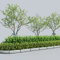 Neatly Trimmed Green Shrubs in Landscaped Garden Area with Small Trees and Stone Border