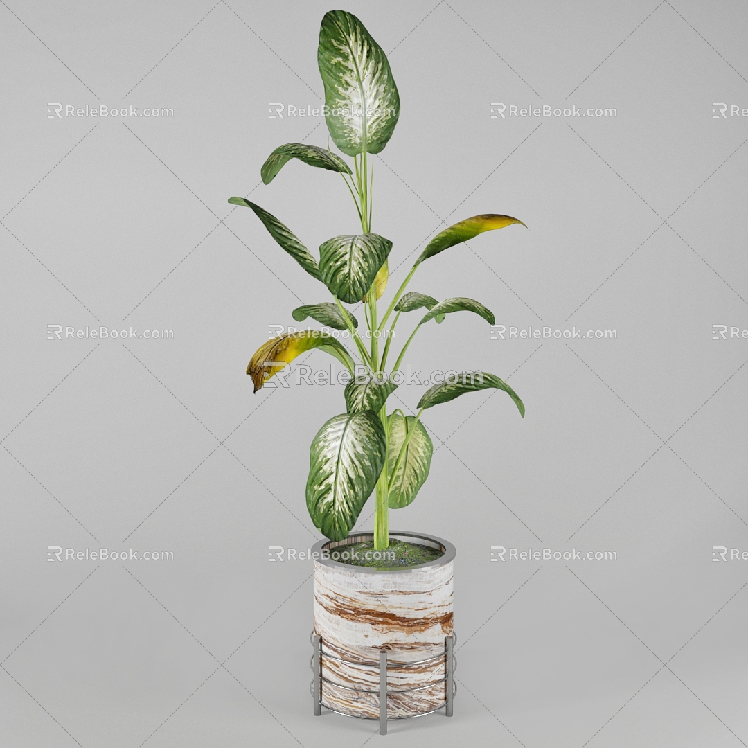 green plant plant pot leaf 3d model