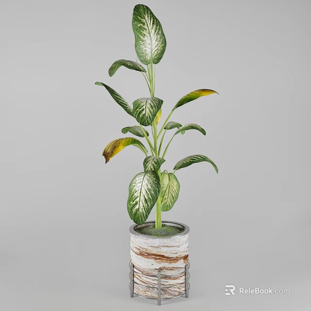 Indoor Plant with Green White Striped Leaves Yellow Edged Foliage in Textured Gray Ceramic Planter 3d model 