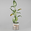 green plant plant pot leaf 3d model