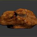 Orange Fleshy Fungus with Wrinkled Surface in Clumpy Shape on Dark Background
