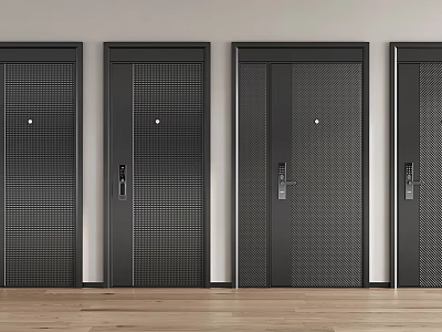 Secure Sleek Black Security Doors Modern Design Home Interior With Four In A Row 3d model