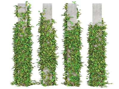 Green Vines Covering Concrete Pillars With Lush Foliage And Natural Design 3d model