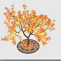 Autumn Tree Featuring Orange Yellow Leaves Red Fruits and Fallen Leaves on Gray Background