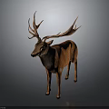 Brown 3D Model Deer With Large Antlers Standing In Realistic Detailed Pose