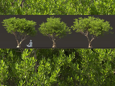 Lush Green Arbor Trees With Healthy Foliage And Natural Setting Different Views 3d model