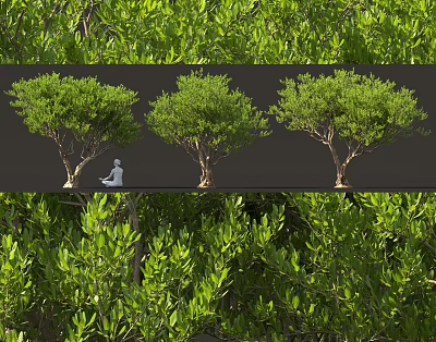 Lush Green Arbor Trees With Healthy Foliage And Natural Setting Different Views 3d model