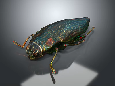 Iridescent Metallic Beetle With Shiny Exoskeleton And Colorful Legs On Gray Background 3d model
