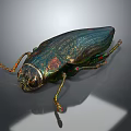 Iridescent Metallic Beetle With Shiny Exoskeleton And Colorful Legs On Gray Background