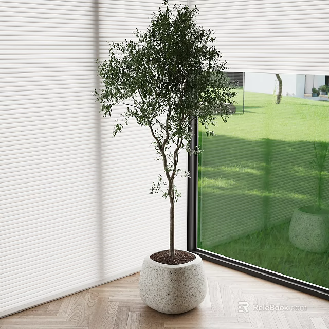 Elegant Potted Bonsai Tree in White Pot by Window with White Blinds and Green Grass 3d model 