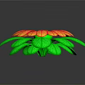 Vibrant Decorative Flowering Plant with Red and Yellow Petals and Green Leaves