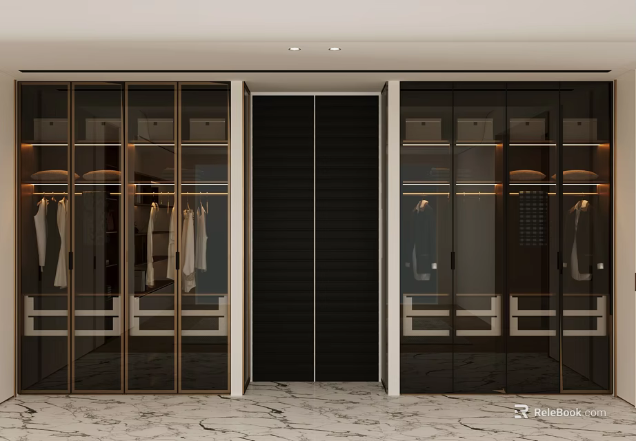 Modern Wardrobe Interior Design With Glass Doors Gold Frame And Black Center Panel 3d model 