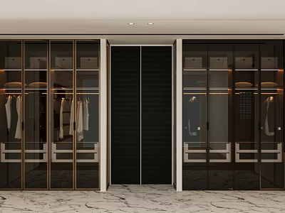 Modern Wardrobe Interior Design With Glass Doors Gold Frame And Black Center Panel 3d model