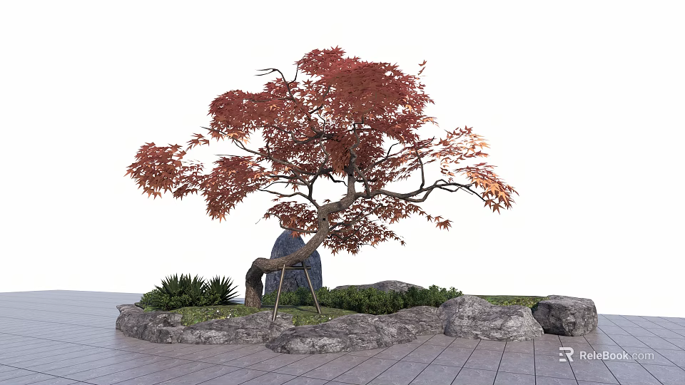 Red Leaf Maple Arbor With Curved Trunk Stones And Green Plants In Landscape 3d model 